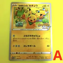 ポケモンカード ピカチュウ まとめ売り 救助隊DX 224/sm-p 漫才ごっこ
