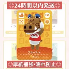 アルベルト　あつ森　アミーボ