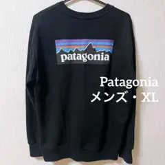 美品 patagonia パタゴニア メンズ 裏起毛トレーナー L - メルカリ