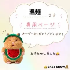 温麺さま専用☆