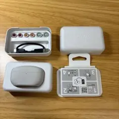 SONY WF-1000XM5 プラチナシルバー ワイヤレスイヤホ 箱付属品完備
