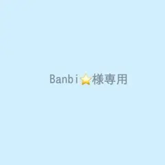 Banbi⭐️様専用
