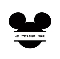 【st20（プロフ要確認）様専用です】