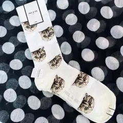 新品タグ付き　猫ちゃん柄　ソックス　可愛い　Paul &JOEのサムネイル