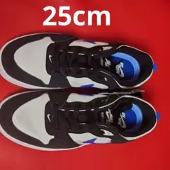 a*ʔ様 Nike SB アリウープ　スニーカー　 ブラック/ブルー　25cm