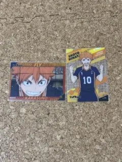 ハイキュー日向翔陽カード2枚セット