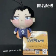 ハイキュー ちょぴぬいぷち 影山飛雄