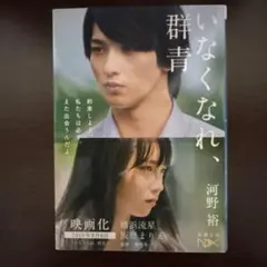 いなくなれ、群青