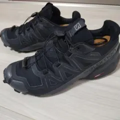 【25.0】SALOMON　SPEED CROSS5 GTXのサムネイル