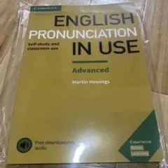 Cambridge Pronunciation in Use Advanced