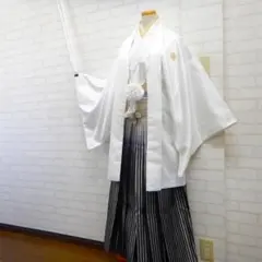 Item thumbnail for item c69cbc74-3f45-4cfa-a004-d5f0a3ba3107