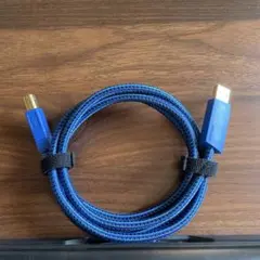 FURUTECH オーディオケーブル GT2 USB-B