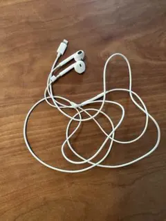 Apple EarPods Lightningコネクタ 本体のサムネイル
