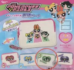 大人気パワパフの刺繍ポーチ♡