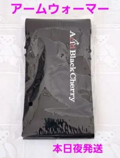 Acid Black Cherry アームウォーマー　BLACK LIST 新品 2026年最新】アシッドブラックチェリ アームの人気アイテム - メルカリ