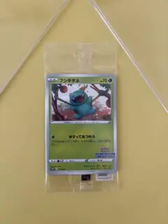 2026年最新】フシギダネ プロモ 未開封の人気アイテム - メルカリ
