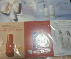 美的　11月号　付録