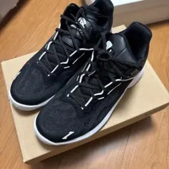 新品インソール】JORDAN39 エアジョーダン 39PF 30cm - メルカリ