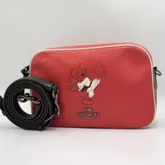 【極美品】COACH ディズニー コラボ シグネチャー ショルダーバッグ