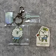 TXT PPULBATU アクリルキーホルダー ステッカー スビン