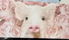 PERFECT DIARY アイシャドウパレット 10色