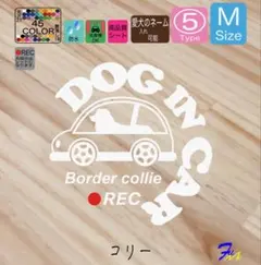 Item thumbnail for item f0d45591-7754-4702-8c3c-a2fcb9800590