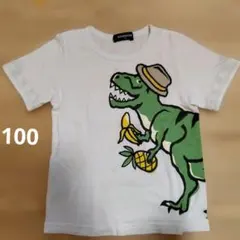 klädskåp 半袖Tシャツ 100cm 恐竜のサムネイル