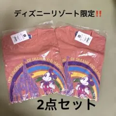 新品未使用❗️ディズニーリゾート限定❗️ミッキーTシャツ2点セット　MサイズSサイズ