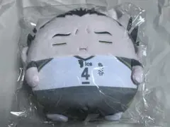 ハイキュー ぬいくじ くじメイト アニメイト C賞 木兎光太郎 しょぼくと