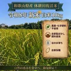 ①【農薬不使用・色選処理済】R8年産 高知産コシヒカリ【精米20kg