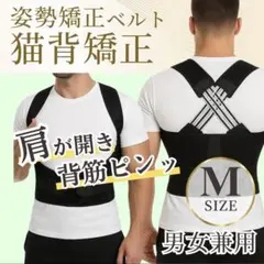 Item thumbnail for item 4e94ebde-e8ac-4700-bc4d-6b20d8fdf5fe