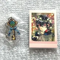 あくねこ　バスティン・ケリー　アクキー＆ぱしゃこれ　2点セット