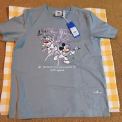 Item thumbnail for item 9e724280-9b93-46e0-abd4-627e748c426c