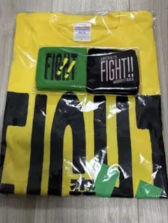 森高千里　Tシャツ、リストバンドセット