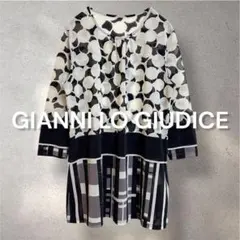 1021 美品✨GIANNI LO GIUDICE 薄手 総柄チュニック 日本製のサムネイル