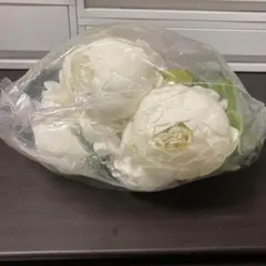 Item thumbnail for item b8b63bb6-ede5-4e15-a70d-480594d936f6