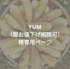 Rm14様専用ページ　小さな筍　4キロ