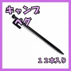 【新品未使用】キャンプペグ12本ブラック検品済みのサムネイル