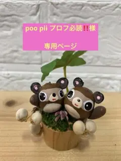 どんぐりアート♡レインボーカラーたぬきちゃんのwelcomeオブジェ♡