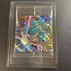 ドラゴンボール ウエハースシール 勝利への執念 ベジット RGR 超12-30