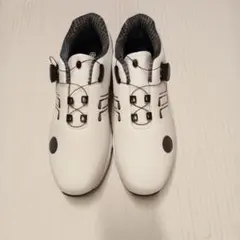 Item thumbnail for item bd932e16-eaa6-4c6e-bd4c-111236ea3325