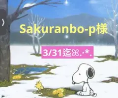 Sakuranbo-p様 専用ページ