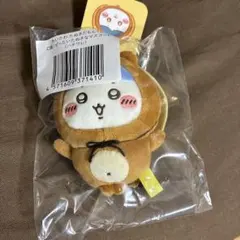 ハチワレ　たぬきだもんくじ　C賞マスコット