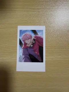 Crazy Raccoon Francisco セルフィーカード