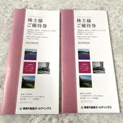 東急不動産ホールディングス株主優待冊子2冊セット　最新版です♪