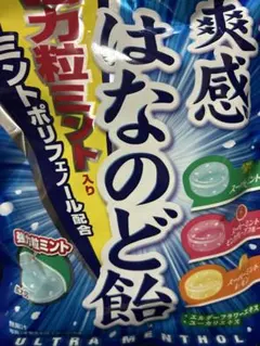 Asahi 爽感 はなのど飴 ミントポリフェノール配合 大袋 1袋72g