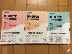 新・現代文レベル別問題集 1, 2, 3 セット　東進ブックス