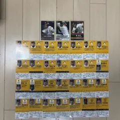 プロ野球チップスカード 福岡ソフトバンクホークス まとめ売り 31枚 レア有り