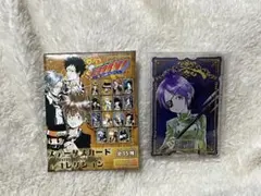 家庭教師ヒットマンREBORN！ステータスカードコレクション