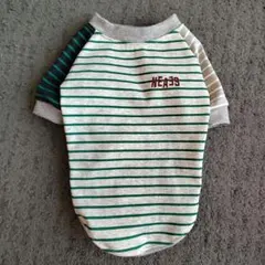 犬服！Lsize！色々ボーダー！グリーン